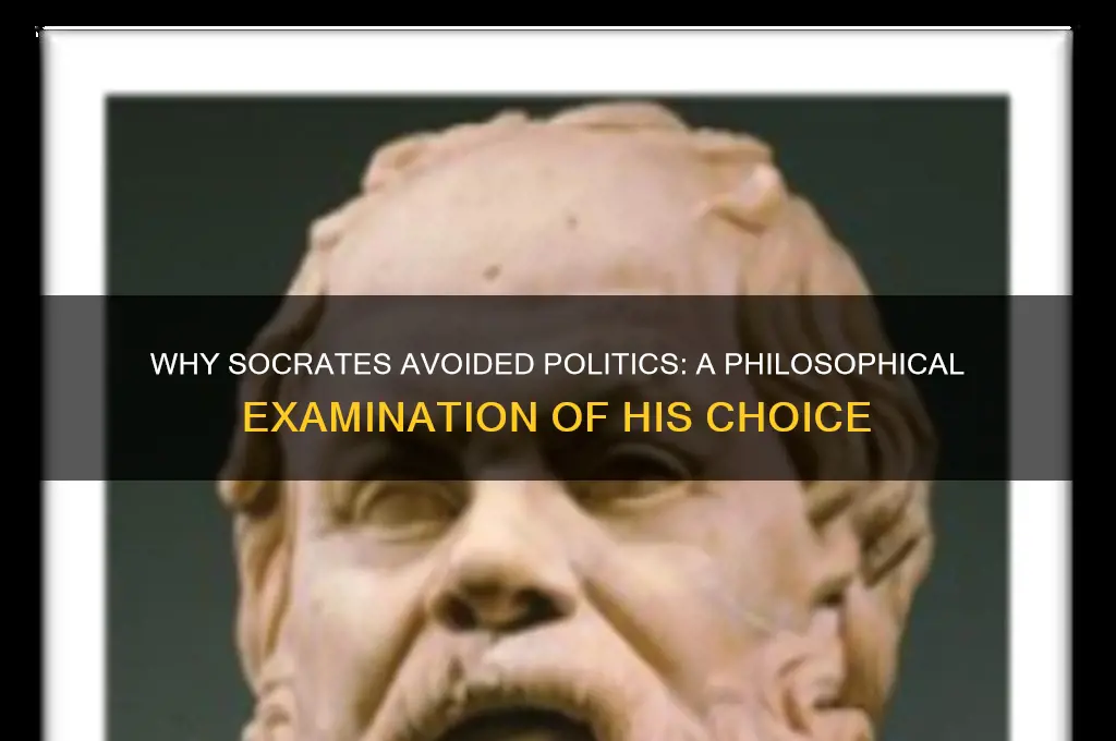 why didnt socrates enter politics