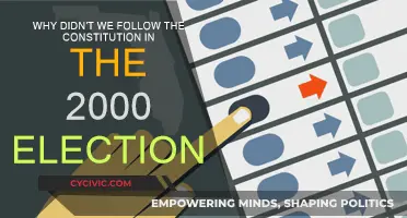 The 2000 Election: A Constitutional Crisis?