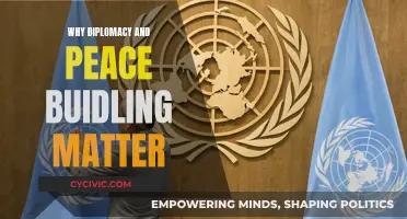 Diplomacy's Power: Building Peace, Saving Lives