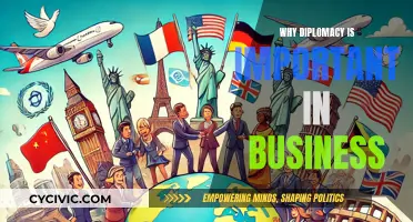 Diplomacy: The Art of Successful Business Deals