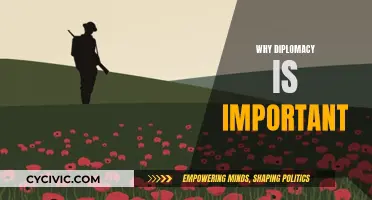 Diplomacy: A Key to Global Peace and Stability