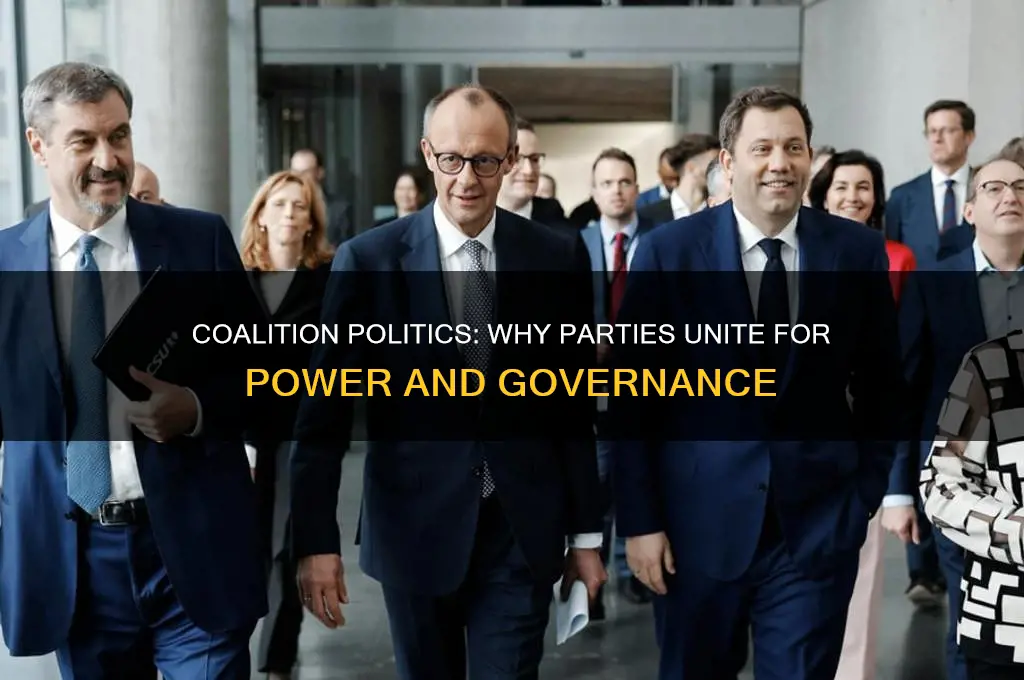 why do a political parties need to form a coalitions