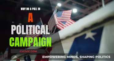 Political Polling: Effective Campaign Strategy and Why