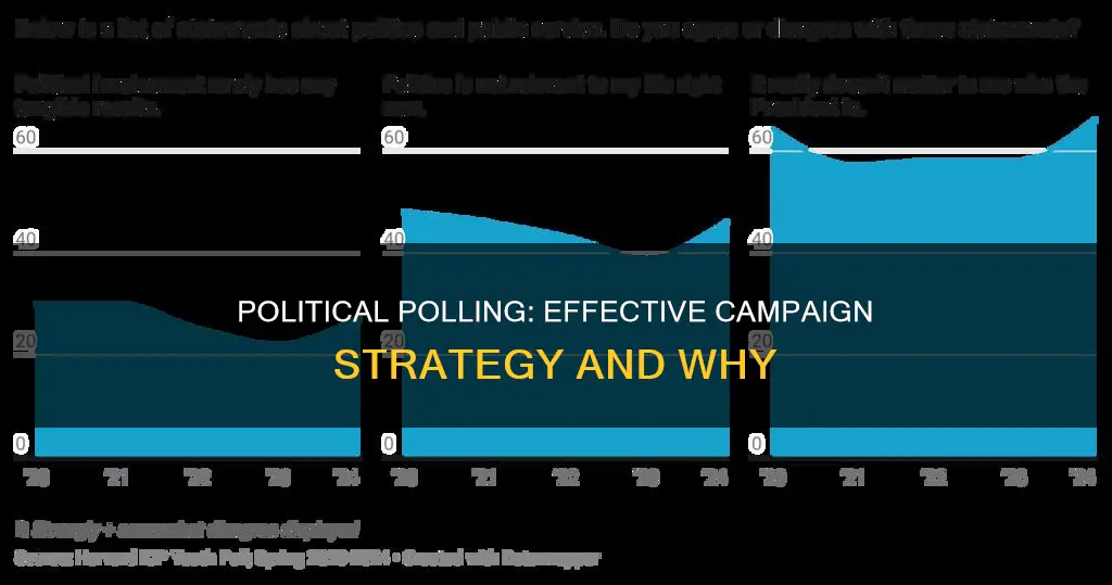 why do a poll in a political campaign