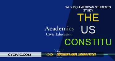 Understanding Democracy: US Students Study Constitution