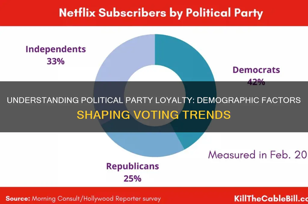 why do certain demographics usually lean towards one political party