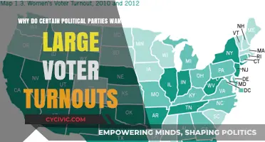 Why High Voter Turnout Benefits Specific Political Parties