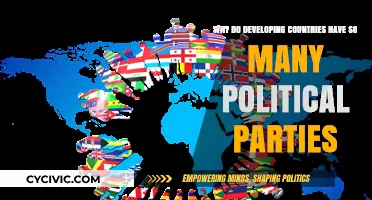 Fragmented Politics: Why Developing Nations Host Numerous Political Parties