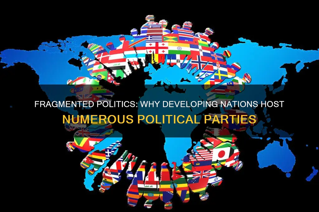 why do developing countries have so many political parties