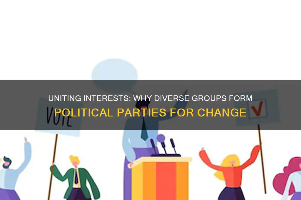 why do different groups form political parties