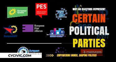 Why Electors Align with Political Parties: Understanding Party Representation