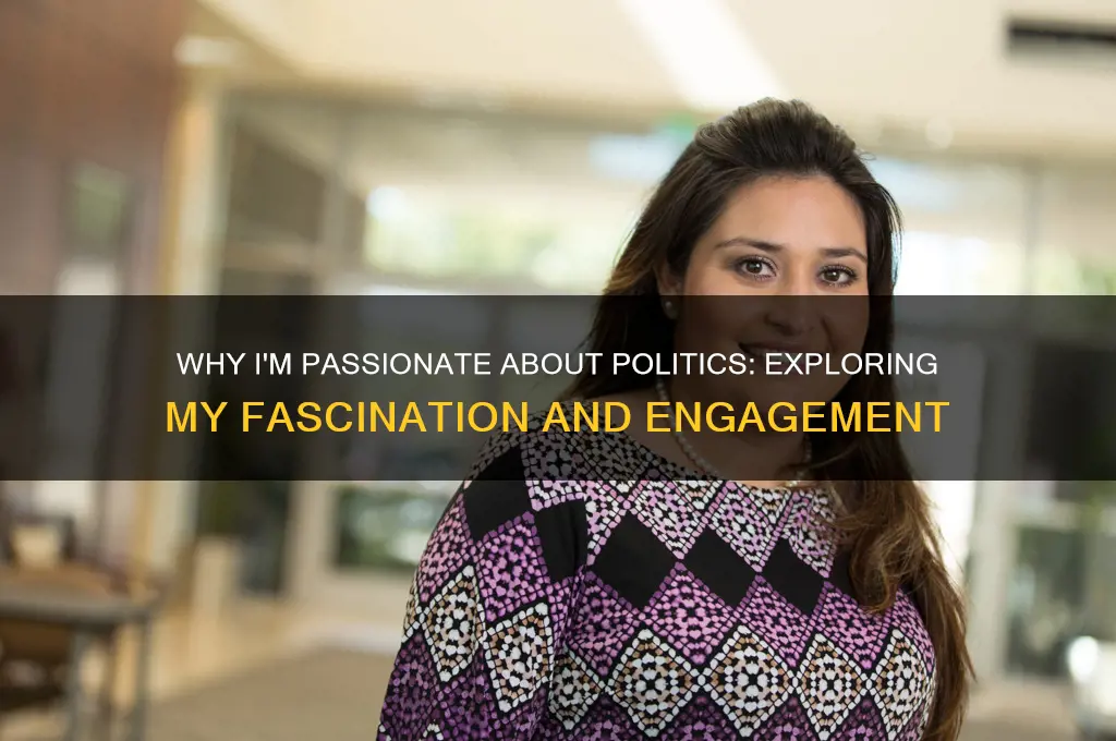 why do i like politics