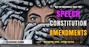 The Freedom of Speech: Our Constitutional Right