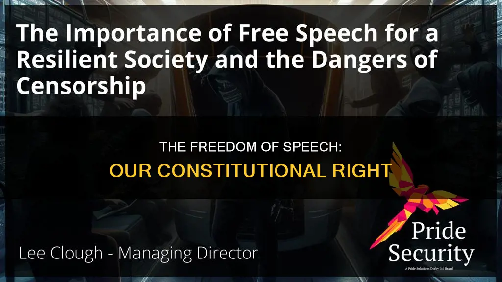 why do individuals have free speech constitutional amendments