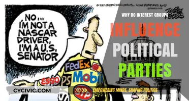 How Interest Groups Shape Political Party Agendas and Policies