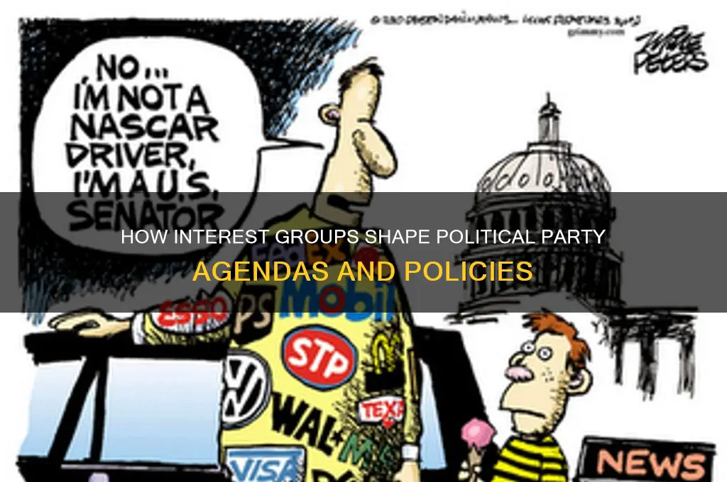 why do interest groups influence political parties