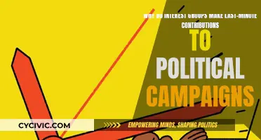 Last-Minute Campaign Contributions: Interest Groups' Strategy