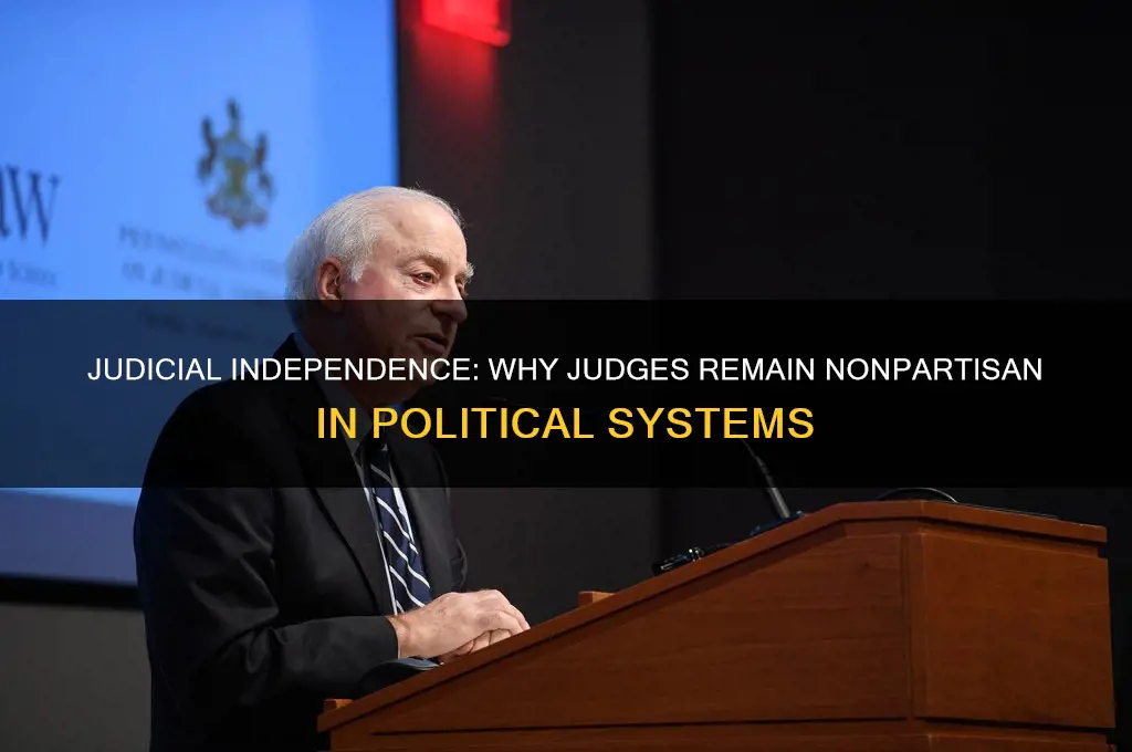 why do judges have no political parties