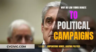 Law Firms' Political Donations: Influence and Access