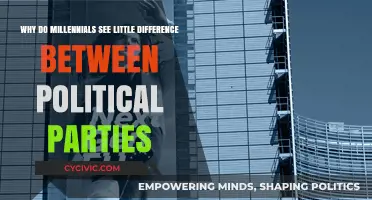 Millennials' Political Apathy: Blurred Lines Between Parties Explained