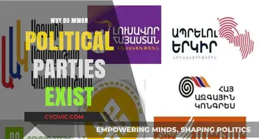 Why Minor Political Parties Matter in Diverse Democracies