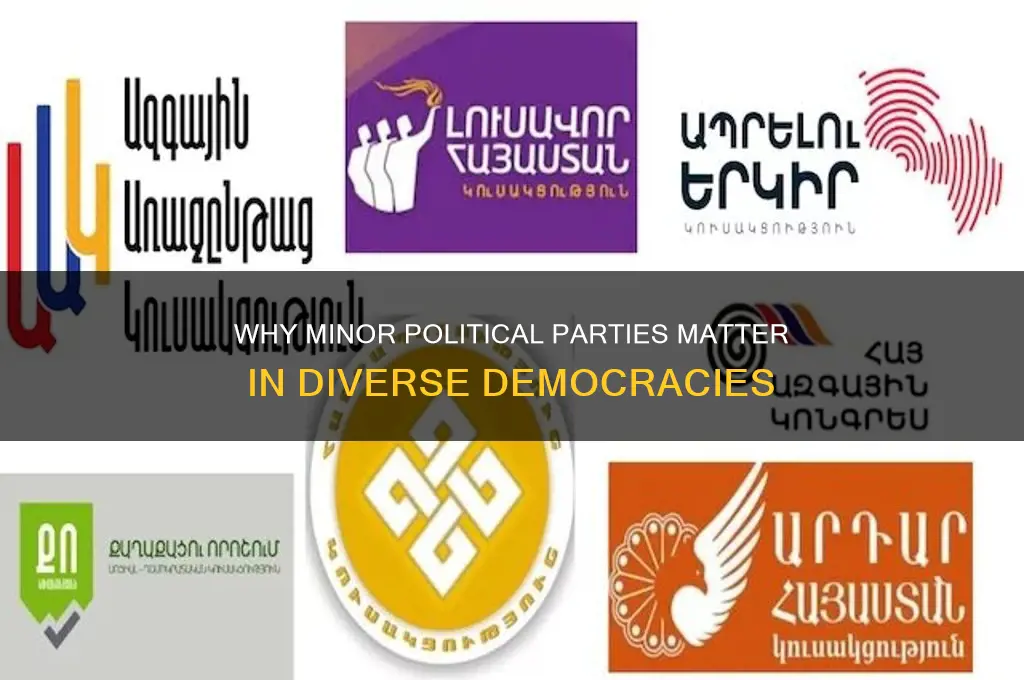 why do minor political parties exist