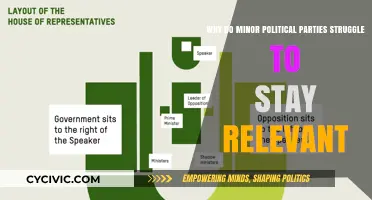 Why Minor Political Parties Fade: Challenges in Staying Relevant