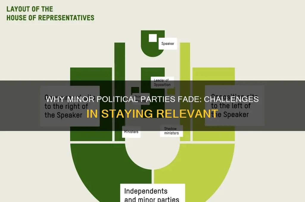 why do minor political parties struggle to stay relevant