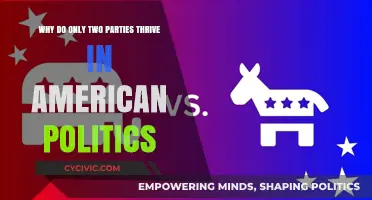 Why America's Political Landscape Favors a Two-Party System