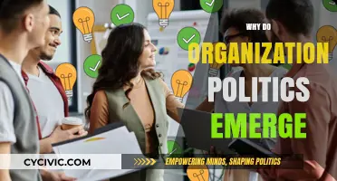 Understanding the Roots of Organizational Politics in the Workplace