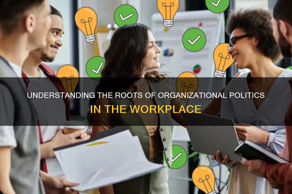 why do organizational politics emerge