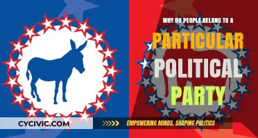 Why Individuals Align with Specific Political Parties: Exploring Motivations and Beliefs