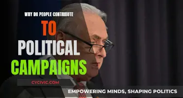 Political Campaign Contributions: Why People Donate and Volunteer