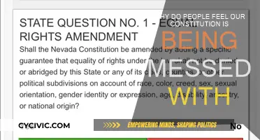 Our Constitution: Is It Being Manipulated?