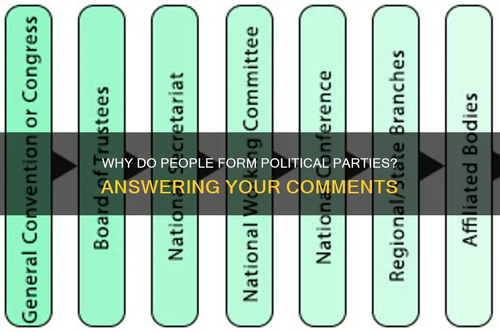 why do people forming political parties answer comment