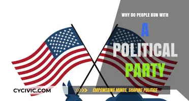 Why Do People Align with Political Parties? Exploring Motivations and Loyalties