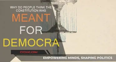 The Constitution: Democracy's Blueprint?