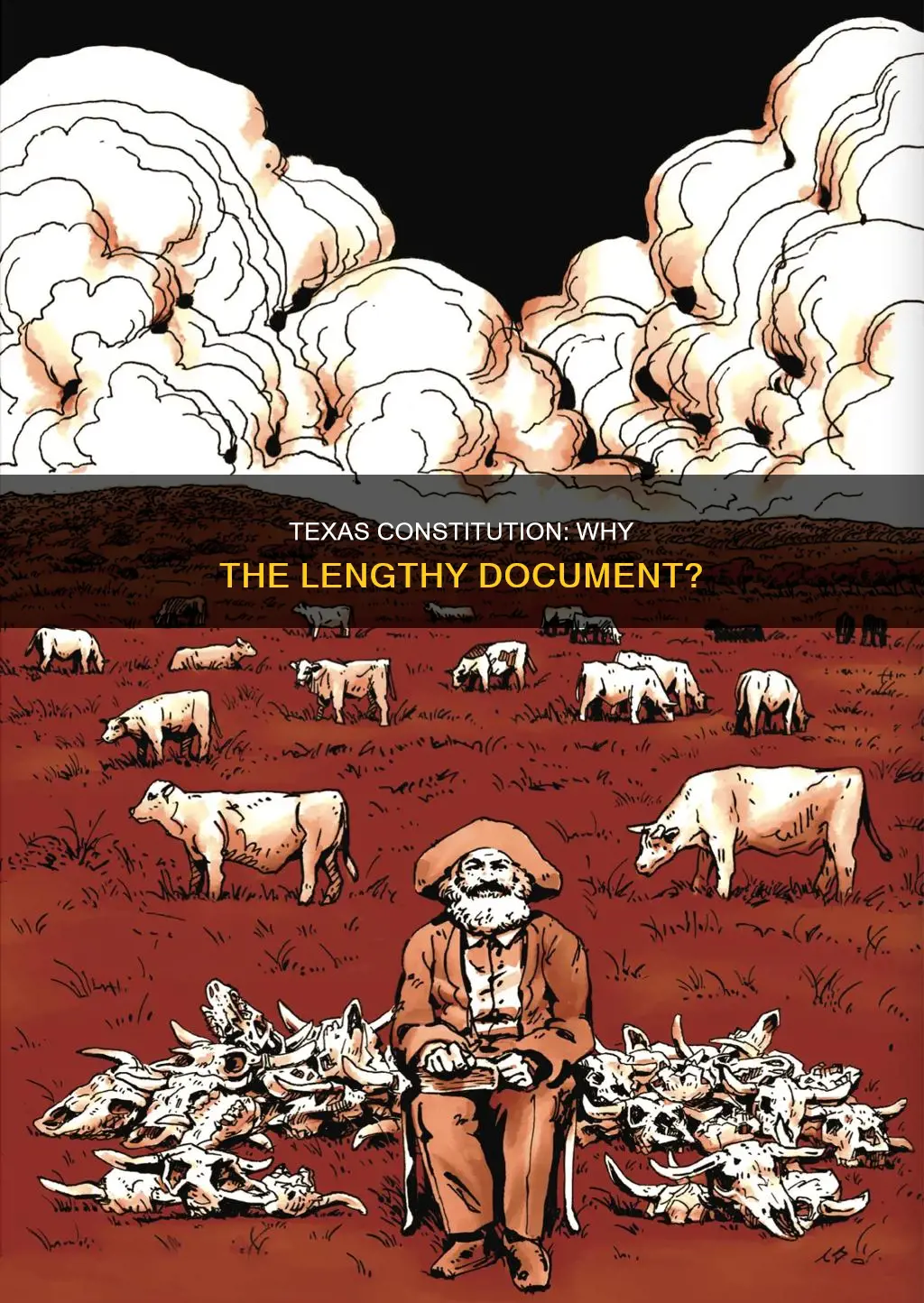 why do people think the texas constitution is too long