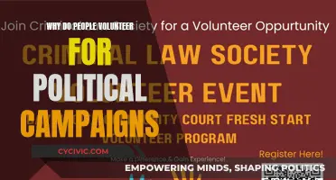 Volunteering for Political Campaigns: Why Do People Do It?