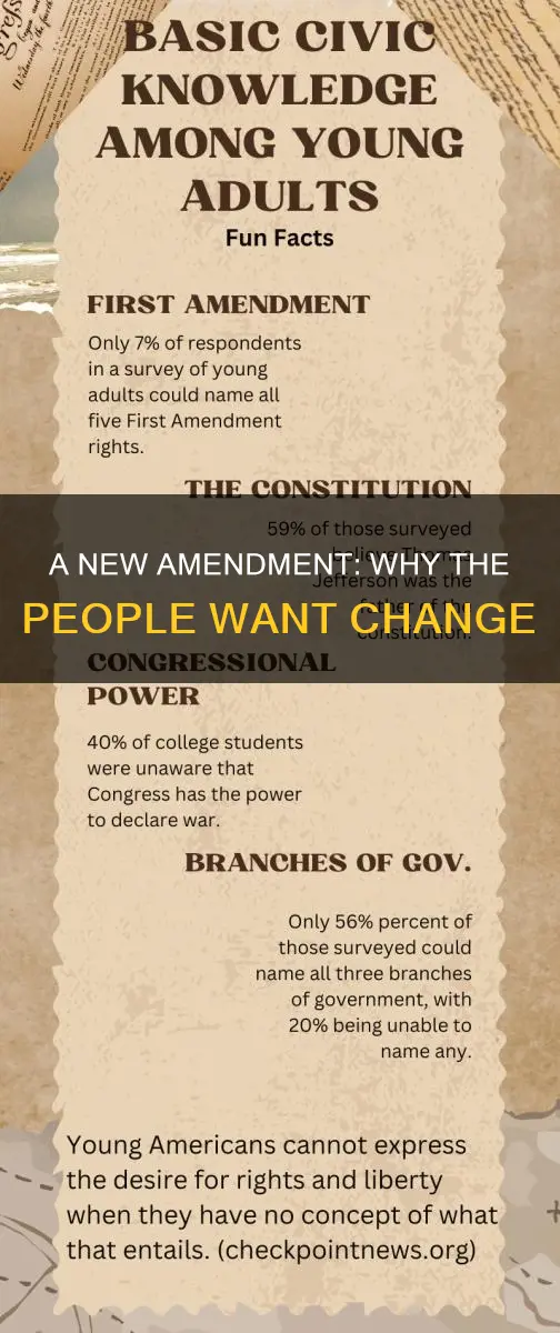 why do people want a new constitutional amendment