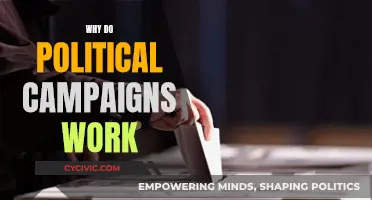 Political Campaigns: Effective Strategies for Victory