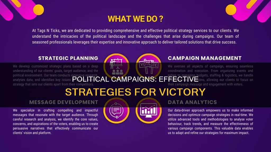why do political campaigns work