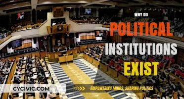 Why Political Institutions Exist: Foundations, Functions, and Societal Impact
