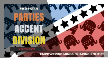 Divided We Stand: How Political Parties Fuel Societal Fractures