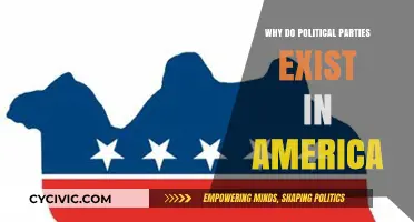 Why Political Parties Shape American Democracy and Governance
