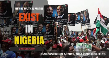 Understanding Nigeria's Political Parties: Their Role, Purpose, and Existence