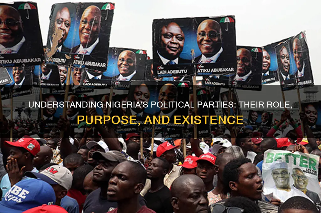 why do political parties exist in nigeria