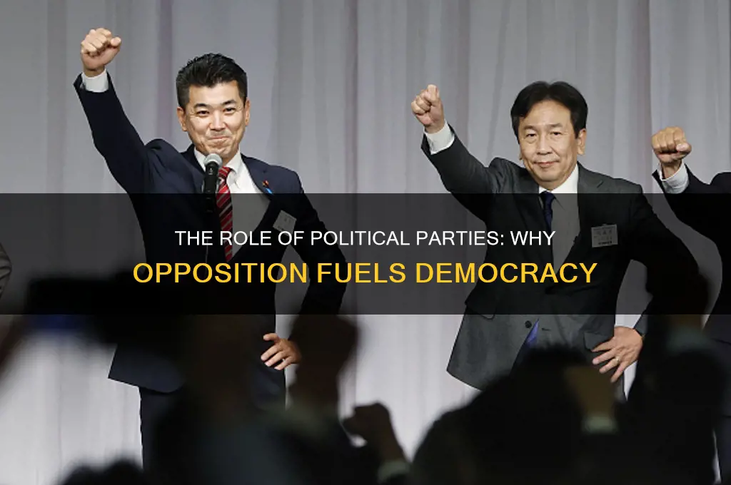 why do political parties exist to oppose the other party