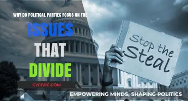 Divisive Politics: Why Parties Prioritize Polarizing Issues Over Unity
