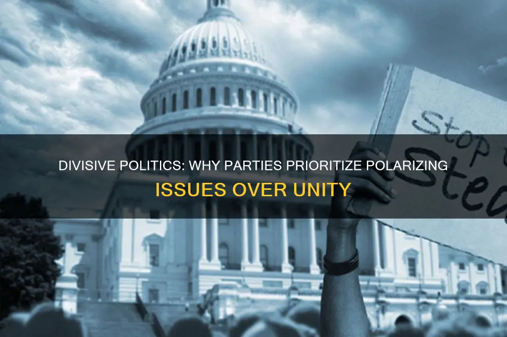 why do political parties focus on the issues that divide